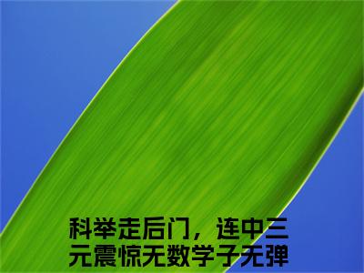 苏誉顾长乐全文免费阅读无弹窗大结局_科举走后门，连中三元震惊无数学子最新章节列表笔趣阁