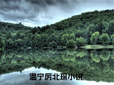 主角为温宁厉北琛的小说（温宁厉北琛）无弹窗大结局-温宁厉北琛最新小说全文阅读最新章节列表_笔趣阁