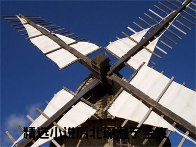 厉北琛温宁完整版 厉北琛温宁小说全文在线阅读