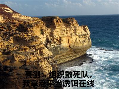 番外+免费小说《李云龙林峰》全文免费阅读无弹窗-亮剑：组织敢死队，我拿老李当诱饵小说全文在线赏析_笔趣阁