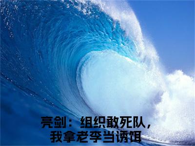 （李云龙林峰）亮剑：组织敢死队，我拿老李当诱饵小说小说免费李云龙林峰读无弹窗最新章节列表_笔趣阁（亮剑：组织敢死队，我拿老李当诱饵）