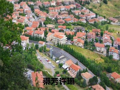（秦芳许琳）全文免费阅读无弹窗大结局_（秦芳许琳阅读无弹窗）秦芳许琳最新章节列表_笔趣阁（秦芳许琳）