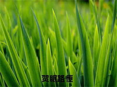 贺眠路恒（贺眠路恒）全文免费阅读大结局-贺眠路恒最新章节列表免费阅读大结局