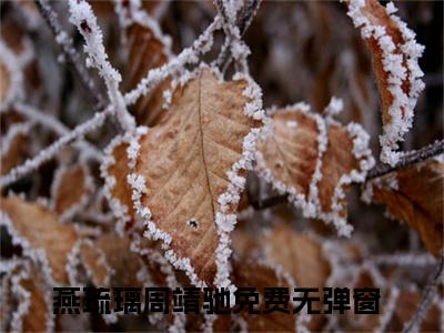 燕琉璃周靖驰(燕琉璃周靖驰)抖音热推小说全集无删减，燕琉璃周靖驰小说在线免费阅读大结局