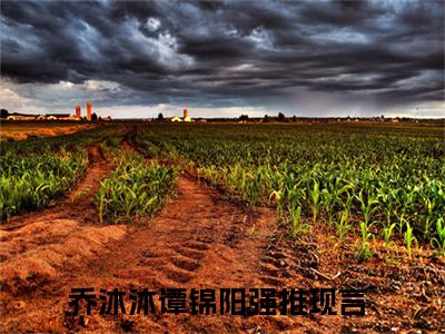 乔沐沐谭锦阳小说（乔沐沐谭锦阳）免费阅读全文-完整版小说（乔沐沐谭锦阳）最新在线阅读
