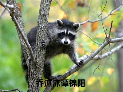 乔沐沐谭锦阳(乔沐沐谭锦阳)全文免费阅读_乔沐沐谭锦阳章节免费阅读-笔趣阁