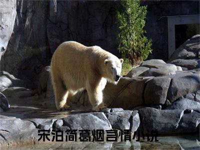 宋泊简葛烟全文免费阅读无弹窗大结局，宋泊简葛烟小说精彩免费试读
