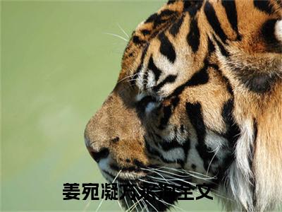 姜宛凝方永洵小说全文免费阅读无弹窗_（姜宛凝方永洵完结）姜宛凝方永洵小说免费阅读无弹窗最新章节列表_笔趣阁