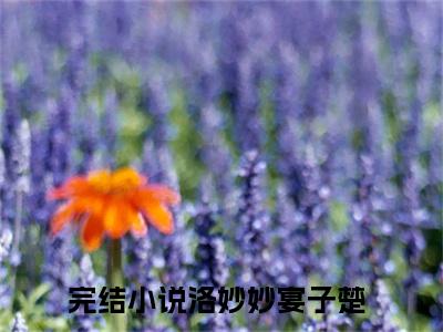 洛妙妙宴子楚（洛妙妙宴子楚）全文免费阅读无弹窗大结局_（洛妙妙宴子楚）洛妙妙宴子楚免费阅读最新章节列表笔趣阁（洛妙妙宴子楚）