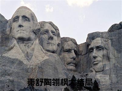 秦舒陶翎枫正版小说全文阅读 秦舒陶翎枫全文免费完整版