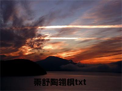 秦舒陶翎枫小说全文免费阅读-秦舒陶翎枫小说最新章节列表（秦舒陶翎枫）