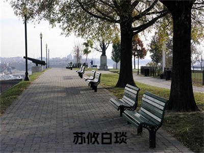 苏攸白琰（苏攸白琰）全文免费阅读无弹窗大结局_苏攸白琰在线阅读（苏攸白琰）