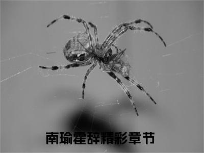 南瑜霍辞：南瑜霍辞阅读无弹窗大结局_（南瑜霍辞阅读无弹窗）最新章节列表_笔趣阁（南瑜霍辞）