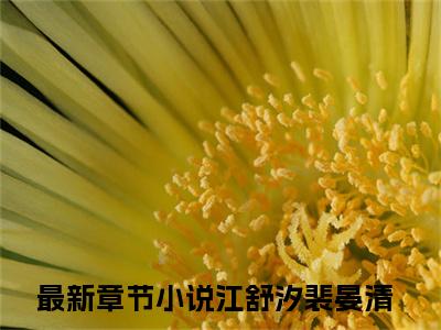 抖音新书热荐江舒汐裴晏清-小说全文完整版免费阅读