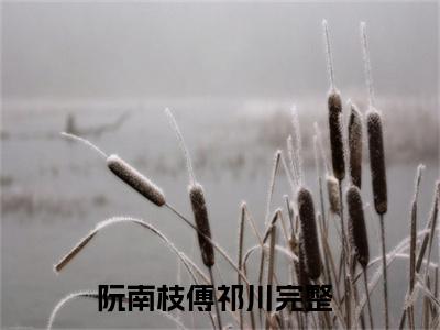 阮南枝傅祁川(主角是阮南枝傅祁川全文免费阅读无弹窗)_阮南枝傅祁川全文免费阅读无弹窗大结局