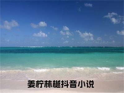 姜柠林樾小说限时免费，姜柠林樾完结版小说阅读无弹窗_笔趣阁