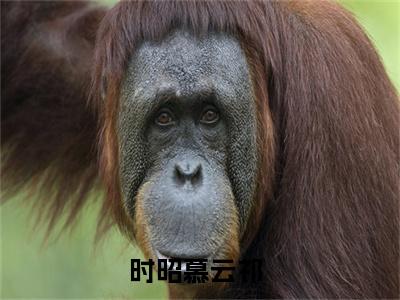 时昭慕云祁(时昭慕云祁)全文免费阅读无弹窗大结局_(时昭慕云祁)免费阅读全文无弹窗_笔趣阁