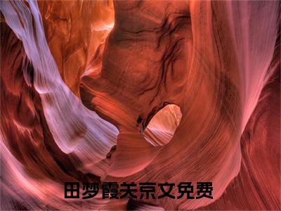 田梦霞关京文小说免费阅读-精选好书田梦霞关京文