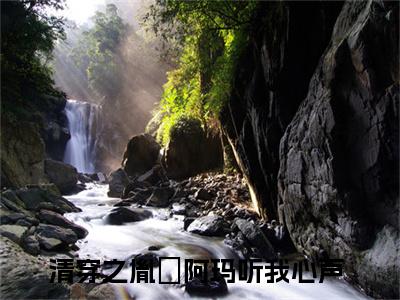 主角是清穿之胤礽阿玛听我心声的小说-弘晳胤礽全章节在线阅读