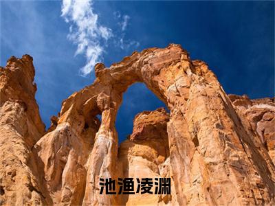 《池渔凌渊》池渔凌渊无弹窗阅读_池渔凌渊最新章节列表_笔趣阁