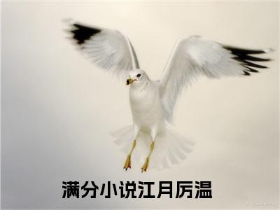 江月厉温阅读无弹窗大结局_（江月厉温阅读无弹窗）最新章节列表_笔趣阁（江月厉温）