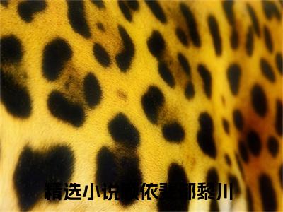 顾依斐郁黎川小说全文-顾依斐郁黎川最新章节免费阅读顾依斐郁黎川小说