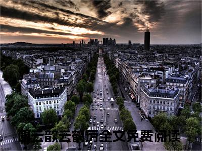 小说免费阅读-抖音新书热荐谢云歆云鹤厉