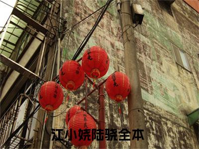 江小娆陆骁小说《江小娆陆骁》全章节阅读-江小娆陆骁精彩小说全文赏析
