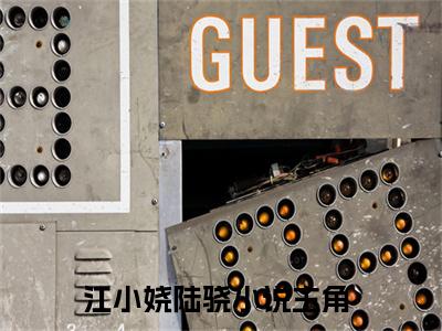 江小娆陆骁（江小娆陆骁）全文免费阅读无弹窗大结局_江小娆陆骁最新章节列表_笔趣阁（江小娆陆骁）