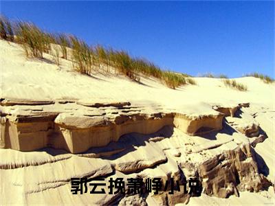 言情小说榜单郭云挽萧峥阅读全文（郭云挽萧峥）-郭云挽萧峥完整版免费小说