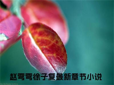 赵弯弯徐子复热门小说最新章节免费阅读-完结版全文赵弯弯徐子复小说在线阅读
