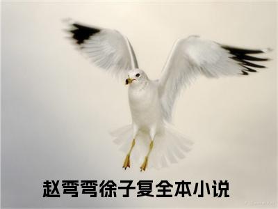 （赵弯弯徐子复）全文免费阅读无弹窗大结局_（赵弯弯徐子复小说免费阅读）赵弯弯徐子复最新章节列表_笔趣阁（赵弯弯徐子复小说免费阅读）