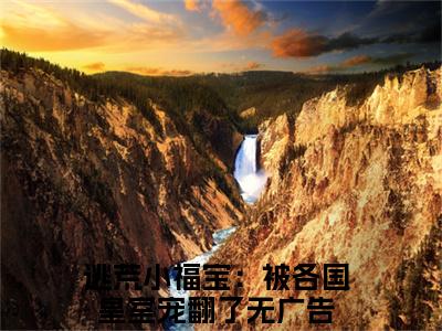 沈致宋晏宁（逃荒小福宝：被各国皇室宠翻了）全文免费阅读无弹窗大结局_逃荒小福宝：被各国皇室宠翻了最新章节列表