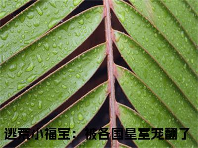 沈致宋晏宁小说（逃荒小福宝：被各国皇室宠翻了）全章节完整版免费小说_沈致宋晏宁最新章节在线阅读_笔趣阁
