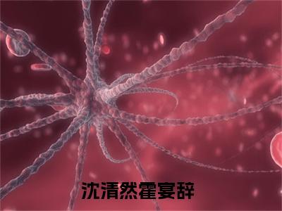沈清然霍宴辞小说（沈清然霍宴辞）全文免费阅读无弹窗大结局_(沈清然霍宴辞小说)沈清然霍宴辞小说免费阅读无弹窗最新章节列表_笔趣阁（沈清然霍宴辞）