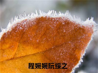 程婉婉阮绥之后续+番外免费阅读_（程婉婉阮绥之后续+番外免费阅读无弹窗）程婉婉阮绥之最新章节列表笔趣阁（程婉婉阮绥之后续+番外）