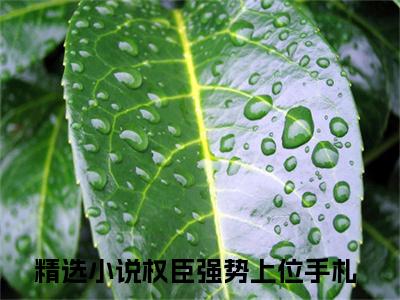 杨青韶周锴小说免费阅读无弹窗-杨青韶周锴（权臣强势上位手札）小说免费阅读无弹窗大结局