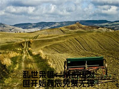 乱世枭雄：从占山为匪开始聂辰全文小说-乱世枭雄：从占山为匪开始聂辰小说最新章节免费阅读
