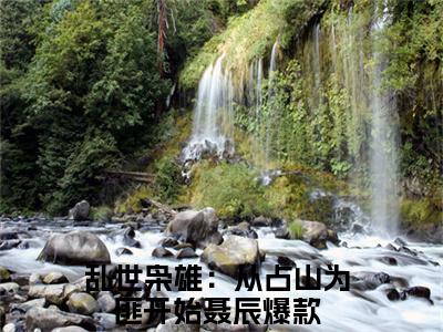 主角是乱世枭雄：从占山为匪开始聂辰的小说叫什么名字 乱世枭雄：从占山为匪开始聂辰小说免费阅读