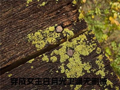 （穿成女主白月光卫渊）全文免费阅读无弹窗大结局_（穿成女主白月光卫渊阅读无弹窗）穿成女主白月光卫渊最新章节列表_笔趣阁（穿成女主白月光卫渊）