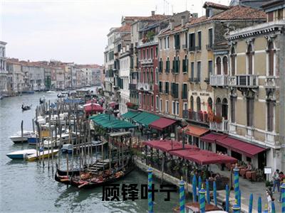 顾锋叶宁全文免费阅读小说今日已更新最新章节_顾锋叶宁全文免费阅读最新章节列表