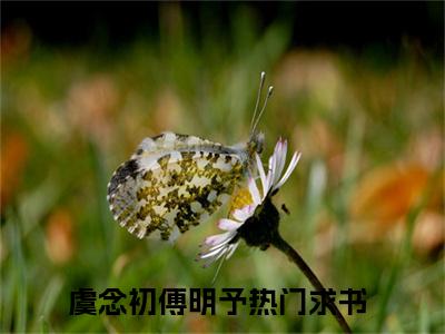 虞念初傅明予（虞念初傅明予精彩美文）免费阅读-小说虞念初傅明予最后结局如何