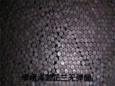 季承泽黎芷兰的小说全文免费阅读无弹窗大结局-《季承泽黎芷兰》完整章节阅读