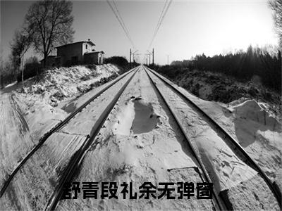 舒青段礼余后续+番外（舒青段礼余）全文免费阅读无弹窗大结局_（舒青段礼余后续+番外）舒青段礼余免费阅读无弹窗最新章节列表（舒青段礼余后续+番外）