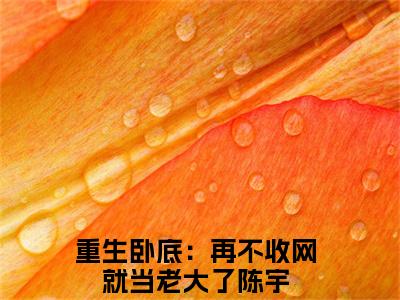 重生卧底：再不收网就当老大了陈宇全文免费阅读无弹窗大结局，重生卧底：再不收网就当老大了陈宇小说精彩免费试读