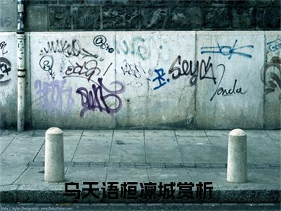 乌天语桓凛城全文阅读 乌天语桓凛城小说最新章节