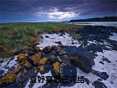 夏妤宴卿全本资源（夏妤宴卿）全文免费阅读无弹窗大结局_夏妤宴卿最新章节列表（夏妤宴卿）