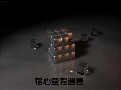 主角为宿心莹程遇寒的小说-宿心莹程遇寒小说全文免费阅读
