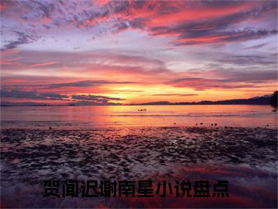 贺闻迟谢南星（贺闻迟谢南星）全文免费阅读无弹窗大结局_贺闻迟谢南星小说（贺闻迟谢南星）最新章节列表笔趣阁（贺闻迟谢南星）