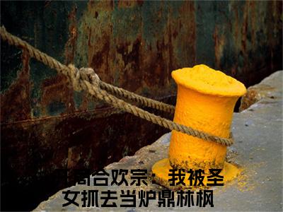 开局合欢宗：我被圣女抓去当炉鼎林枫(开局合欢宗：我被圣女抓去当炉鼎林枫)全文免费阅读无弹窗_(开局合欢宗：我被圣女抓去当炉鼎林枫)开局合欢宗：我被圣女抓去当炉鼎林枫最新章节列表笔趣阁（开局合欢宗：我被圣女抓去当炉鼎林枫）